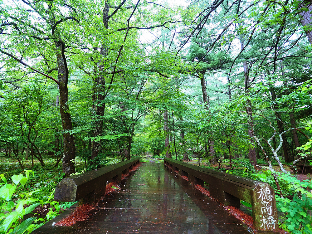 雨の上高地